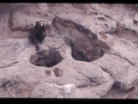 Das Bild zeigt einen so genannten Doppelschacht der Grube 5 im Wadi Abiad, der nach der Keramik auf der Bergehalde in die Eisenzeit datiert. Die Anlage solcher Doppelschächte erleichterte Befahrung, Bewetterung und Förderung von Erz. Neben dem Mundloch befinden sich zwei in das Gestein gehauenen Vertiefungen, die auf die Konstruktion einer Winde hindeuten. Derartige Schachtanlagen bezeugen einen enormen Innovationsschub in diesem Zeitabschnitt in Faynan. Parallelen hierzu finden sich bislang nur in dem ca. 80 km entfernten Revier von Timna. Schächte dieser Konstruktion können im Extremfall eine Teufe von 50 - 60 m erreichen.