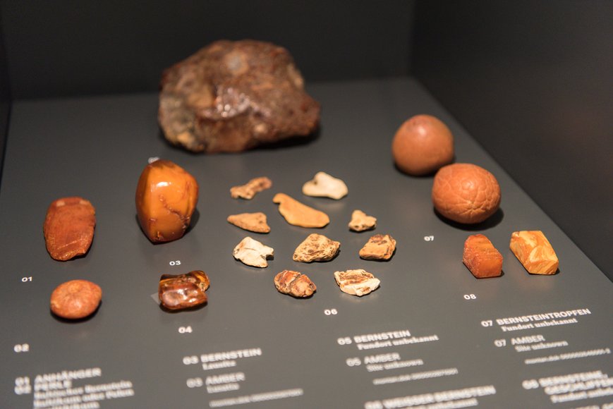 verschiedene Bernsteinexemplare in einer Vitrine