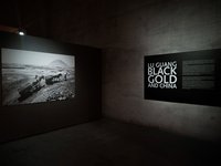 Blick in die Ausstellung Black Gold and China