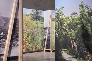 Einblick in die Ausstellung Gras drüber, Blick auf Leinwände mit Bäumen
