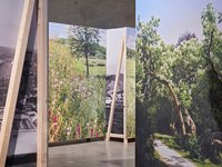Einblick in die Ausstellung Gras drüber, Blick auf Leinwände mit Bäumen